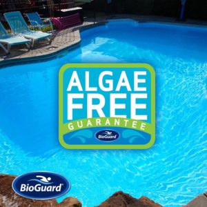 AlgaeFree BioGuard chemicals Tarson Pools